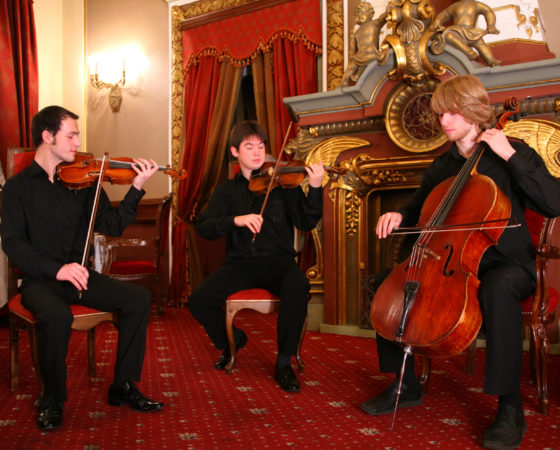 CHAMBER MUSIC – TRIO